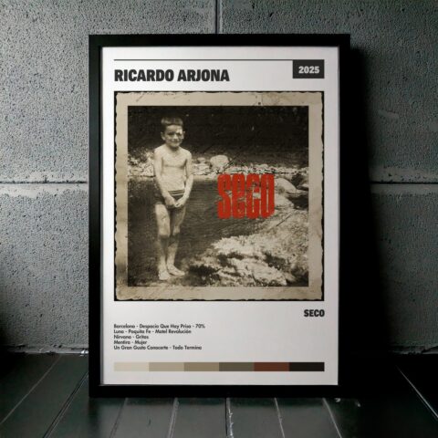 Cuadro Ricardo Arjona – SECO
