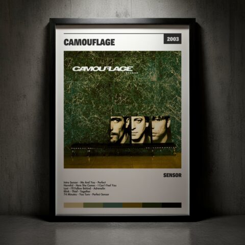 Cuadro Camouflage – Sensor