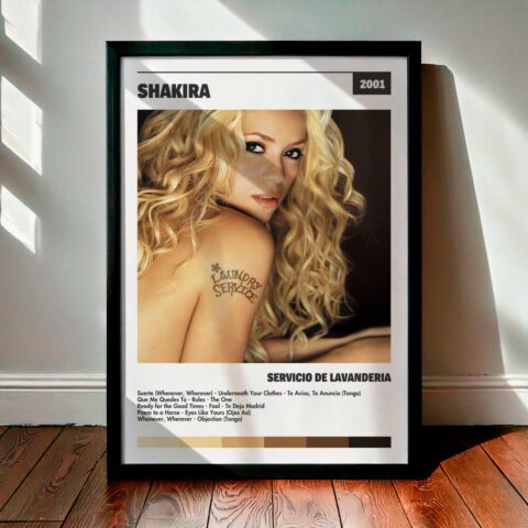 Cuadro Shakira – Servicio De Lavandería
