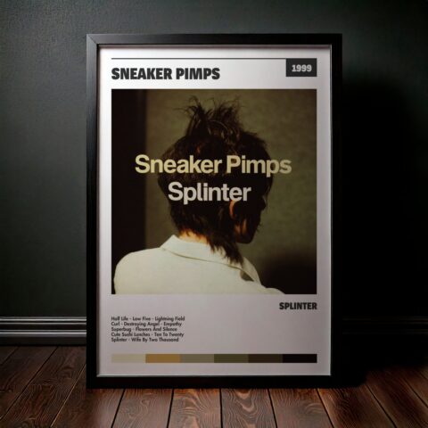 Cuadro Sneaker Pimps – Splinter