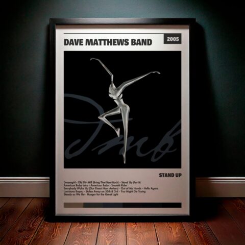 Cuadro Dave Matthews Band – Stand Up