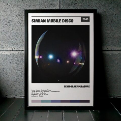 Cuadro Simian Mobile Disco – Temporary Pleasure