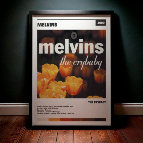 Cuadro Melvins – The Crybaby