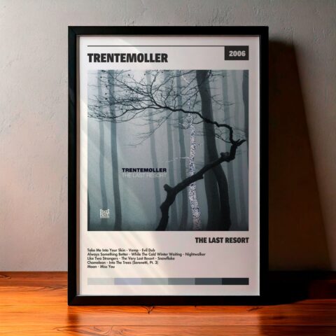 Cuadro Trentemøller – The Last Resort