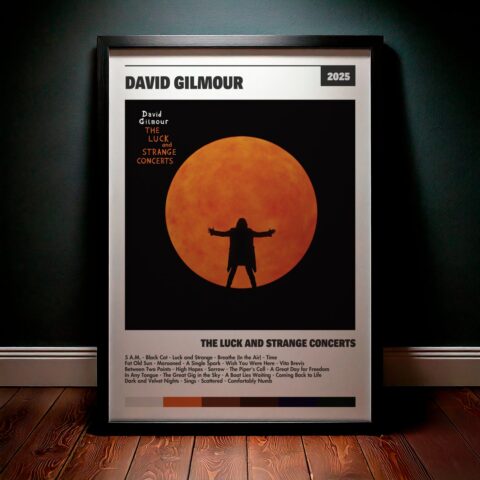 Cuadro David Gilmour – The Luck and Strange Concerts
