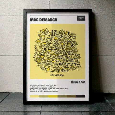 Cuadro Mac Demarco – This Old Dog
