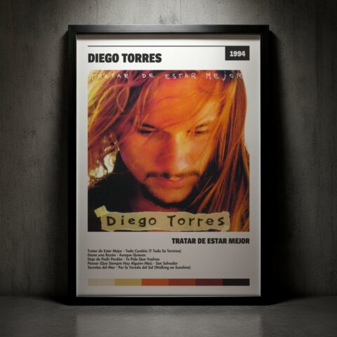 Cuadro Diego Torres – Tratar De Estar Mejor