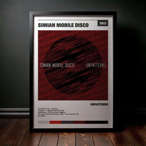 Cuadro Simian Mobile Disco – Unpatterns