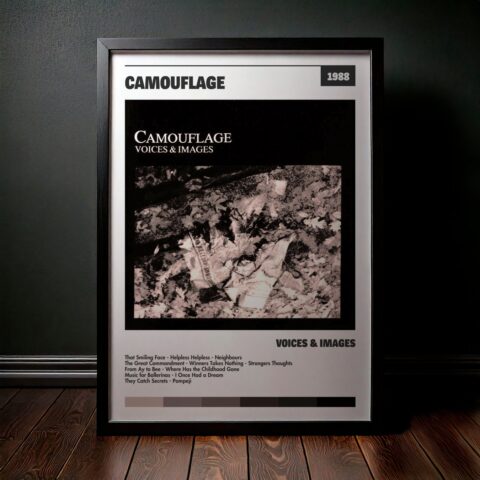 Cuadro Camouflage – Voices & Images