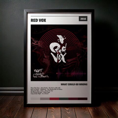 Cuadro Red Vox – What Could Go Wrong