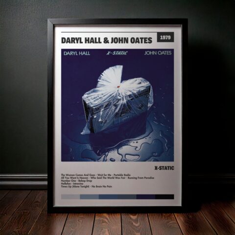 Cuadro Daryl Hall & John Oates – X-Static