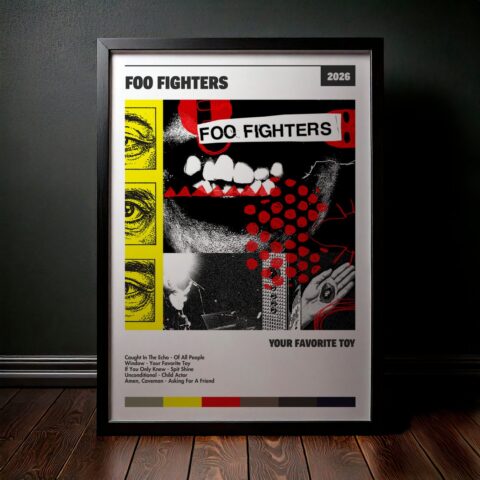 Cuadro Foo Fighters – Your Favorite Toy